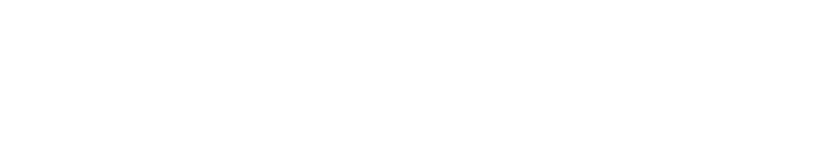 OSMO - Model powszechnej służby publicznej dla Polski